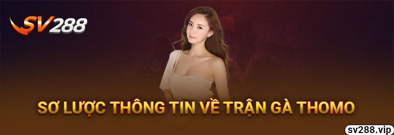 Sơ Lược Thông Tin Về Các Trận Gà Thomo