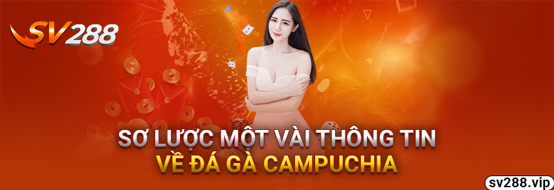 Sơ Lược Về Đá Gà Campuchia