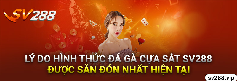 Lý Do Hình Thức Đá Gà Cựa Sắt Sv288 Được Săn Đón Nhất