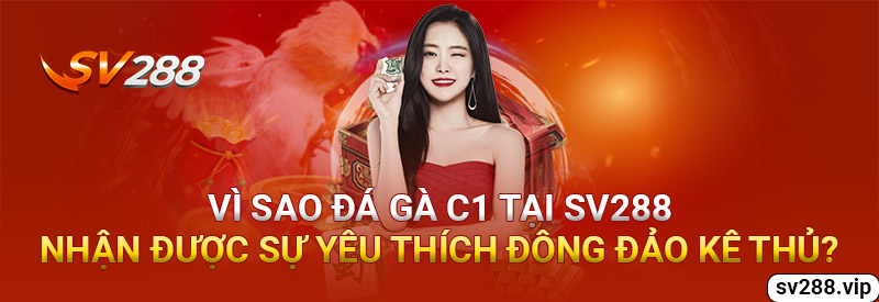 Đá Gà C1 - Trực Tiếp Đá Gà Hôm Nay Sôi Động Và Kịch Tính 