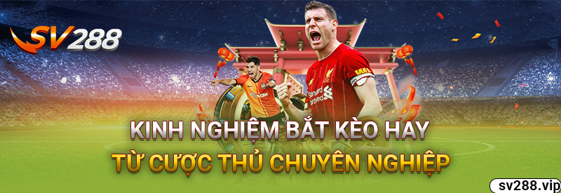 Kinh Nghiệm Bắt Kèo 3/4 Hay Từ Cược Thủ Chuyên Nghiệp