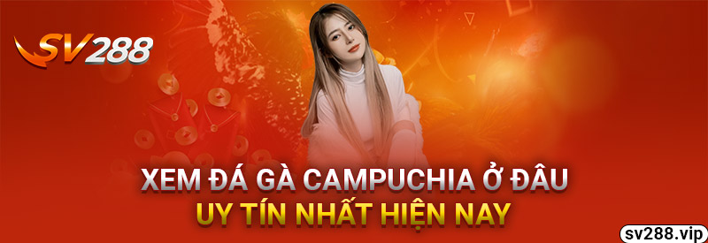 Xem Đá Gà Campuchia Ở Đâu Uy Tín Nhất Hiện Nay