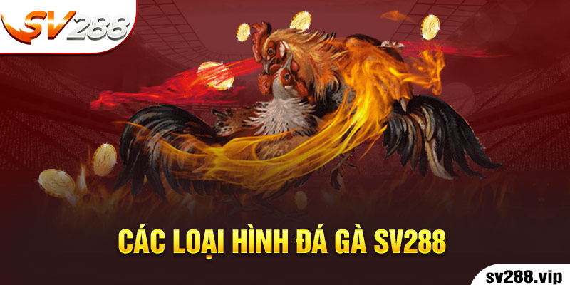 Các Loại Hình Đá Gà Sv288