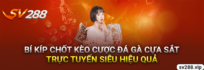 Bí Kíp Chốt Kèo Cược Đá Gà Cựa Sắt Trực Tuyến Siêu Hiệu Quả